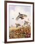 Flushed Partridges-Carl Donner-Framed Giclee Print