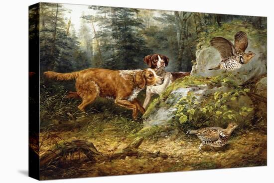 Flushed: Ruffed Grouse Shooting, 1857-Arthur Fitzwilliam Tait-Stretched Canvas