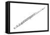 Flute, Woodwind, Musical Instrument-Encyclopaedia Britannica-Framed Stretched Canvas