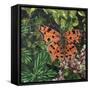 Flutter - Comma Butterfly on Japonica-Kirstie Adamson-Framed Stretched Canvas