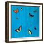 Flutter F-null-Framed Giclee Print