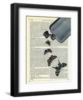 Flutter Flask-Marion Mcconaghie-Framed Art Print