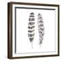 Flutter I-Sandra Jacobs-Framed Giclee Print