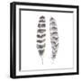Flutter I-Sandra Jacobs-Framed Giclee Print
