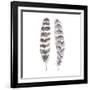 Flutter I-Sandra Jacobs-Framed Giclee Print