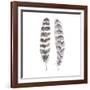 Flutter I-Sandra Jacobs-Framed Giclee Print