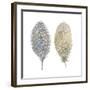 Flutter II-Sandra Jacobs-Framed Giclee Print