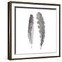 Flutter IV-Sandra Jacobs-Framed Giclee Print