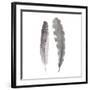 Flutter IV-Sandra Jacobs-Framed Giclee Print