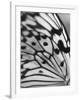 Flutter-Ella Lancaster-Framed Giclee Print