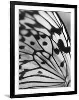 Flutter-Ella Lancaster-Framed Giclee Print