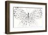 Flutterby Dance-Joelle Wehkamp-Framed Giclee Print