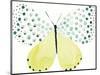 Flutterby Dapple-Joelle Wehkamp-Mounted Giclee Print