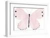 Flutterby Dash-Joelle Wehkamp-Framed Giclee Print