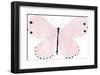 Flutterby Dash-Joelle Wehkamp-Framed Giclee Print