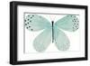 Flutterby Fleck-Joelle Wehkamp-Framed Giclee Print