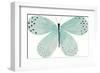 Flutterby Fleck-Joelle Wehkamp-Framed Giclee Print