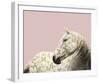 Flutterby Horse - Gaze-Irene Suchocki-Framed Giclee Print