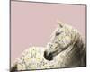 Flutterby Horse - Gaze-Irene Suchocki-Mounted Giclee Print