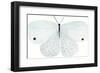 Flutterby Melody-Joelle Wehkamp-Framed Giclee Print