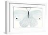 Flutterby Melody-Joelle Wehkamp-Framed Giclee Print