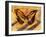 Flutterby-Whoartnow-Framed Giclee Print