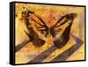 Flutterby-Whoartnow-Framed Stretched Canvas