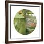 Fluttering Spring Circle-Florence Delva-Framed Giclee Print