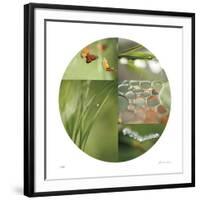 Fluttering Spring Circle-Florence Delva-Framed Giclee Print