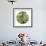 Fluttering Spring Circle-Florence Delva-Framed Giclee Print displayed on a wall