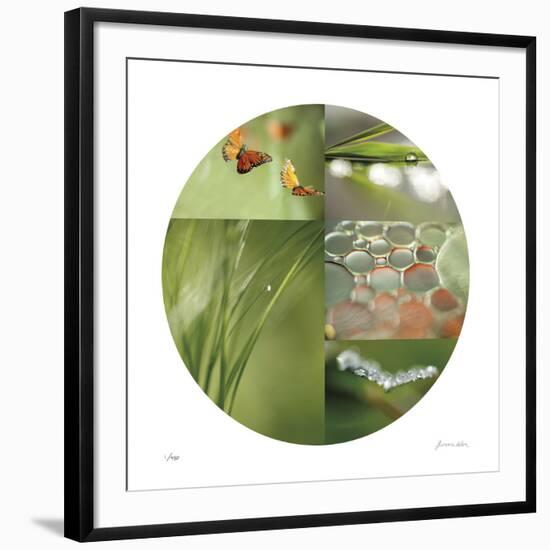 Fluttering Spring Circle-Florence Delva-Framed Giclee Print