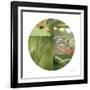 Fluttering Spring Circle-Florence Delva-Framed Giclee Print