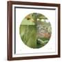 Fluttering Spring Circle-Florence Delva-Framed Giclee Print