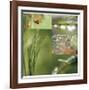 Fluttering Spring-Florence Delva-Framed Giclee Print