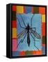 Fly, 1996-Peter Wilson-Framed Stretched Canvas