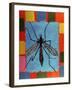 Fly, 1996-Peter Wilson-Framed Giclee Print