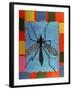 Fly, 1996-Peter Wilson-Framed Giclee Print