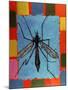 Fly, 1996-Peter Wilson-Mounted Giclee Print