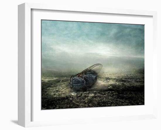 Fly, 2013-Johan Lilja-Framed Giclee Print