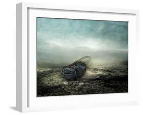 Fly, 2013-Johan Lilja-Framed Giclee Print