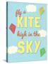 Fly a Kite-null-Stretched Canvas