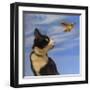 Fly Away-Diane Hoeptner-Framed Art Print