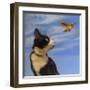 Fly Away-Diane Hoeptner-Framed Art Print