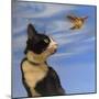 Fly Away-Diane Hoeptner-Mounted Art Print