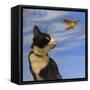 Fly Away-Diane Hoeptner-Framed Stretched Canvas