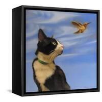 Fly Away-Diane Hoeptner-Framed Stretched Canvas