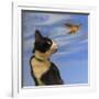 Fly Away-Diane Hoeptner-Framed Premium Giclee Print