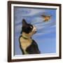 Fly Away-Diane Hoeptner-Framed Art Print