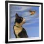 Fly Away-Diane Hoeptner-Framed Art Print