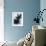 Fly Away-Hanna Kastl-Lungberg-Framed Photographic Print displayed on a wall